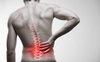 Physiotherapy Self-Referral